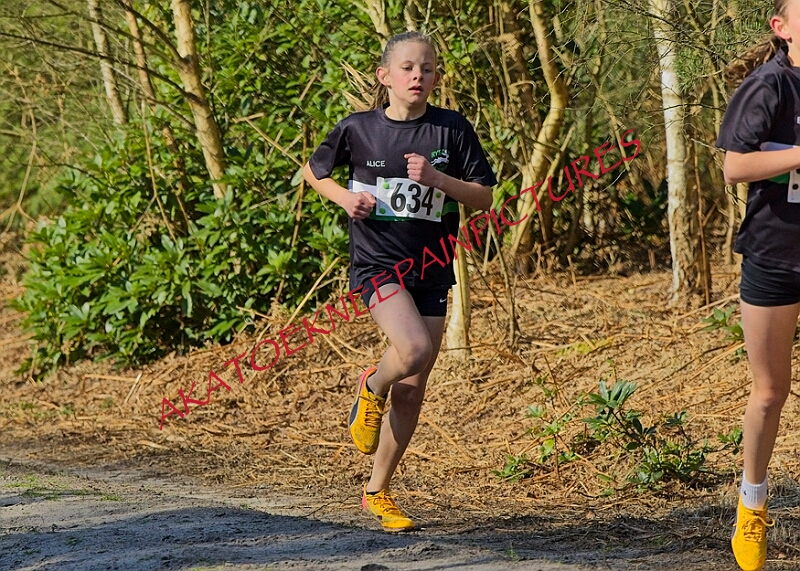 20260315 RRXCMARCHA 00124A.JPG