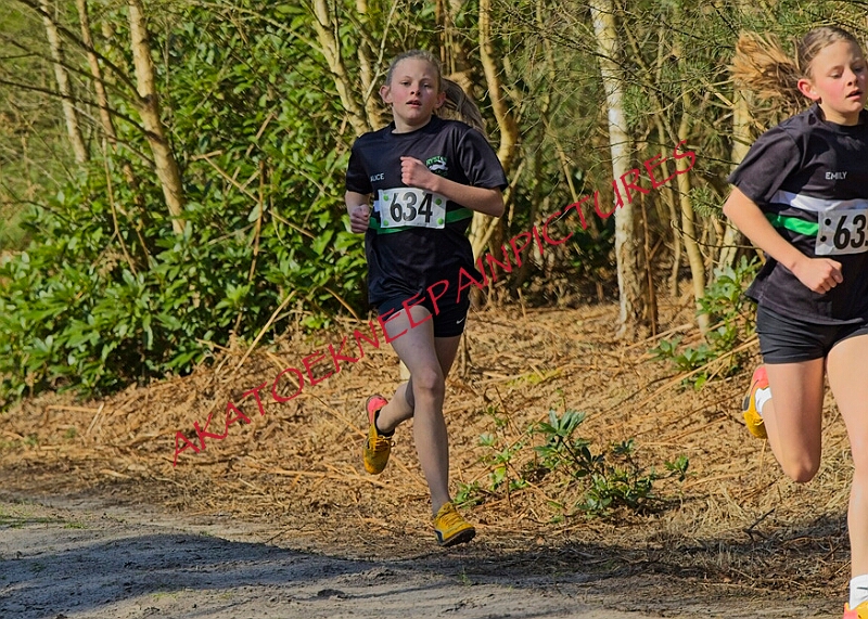 20260315 RRXCMARCHA 00125A.JPG