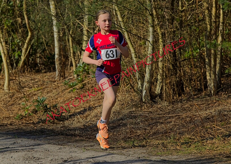 20260315 RRXCMARCHA 00133A.JPG