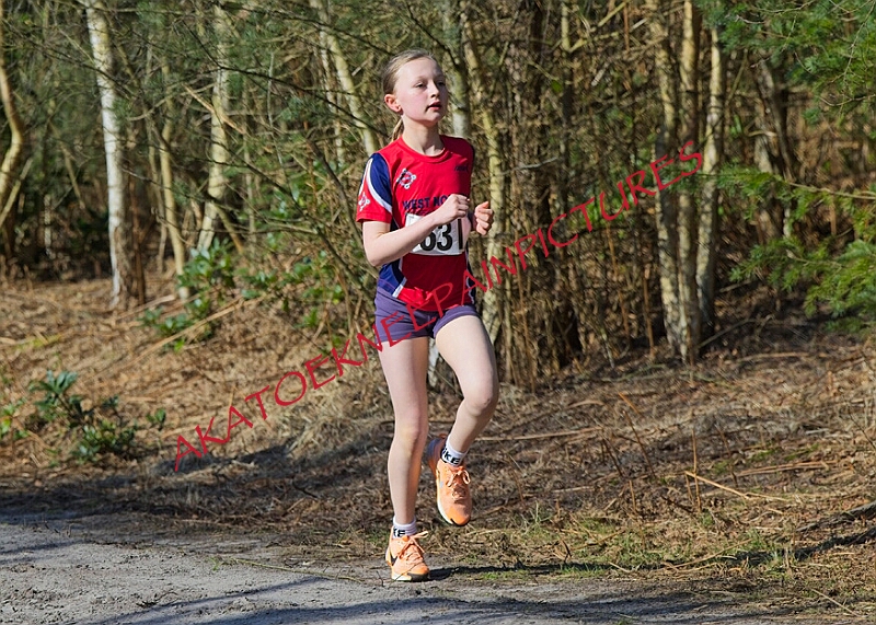 20260315 RRXCMARCHA 00135A.JPG