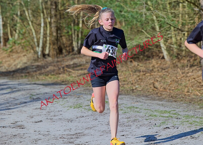 20260315 RRXCMARCHA 00186A.JPG