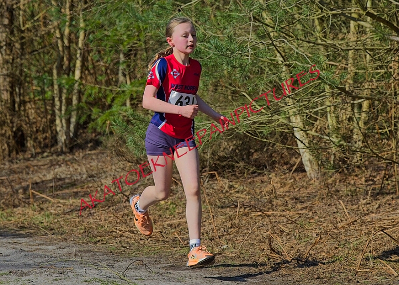 20260315 RRXCMARCHA 00197A.JPG