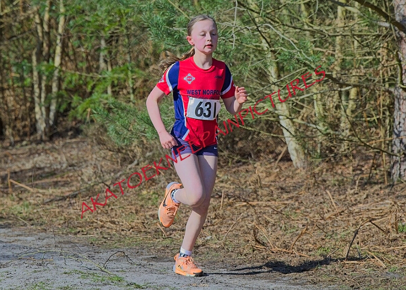 20260315 RRXCMARCHA 00198A.JPG