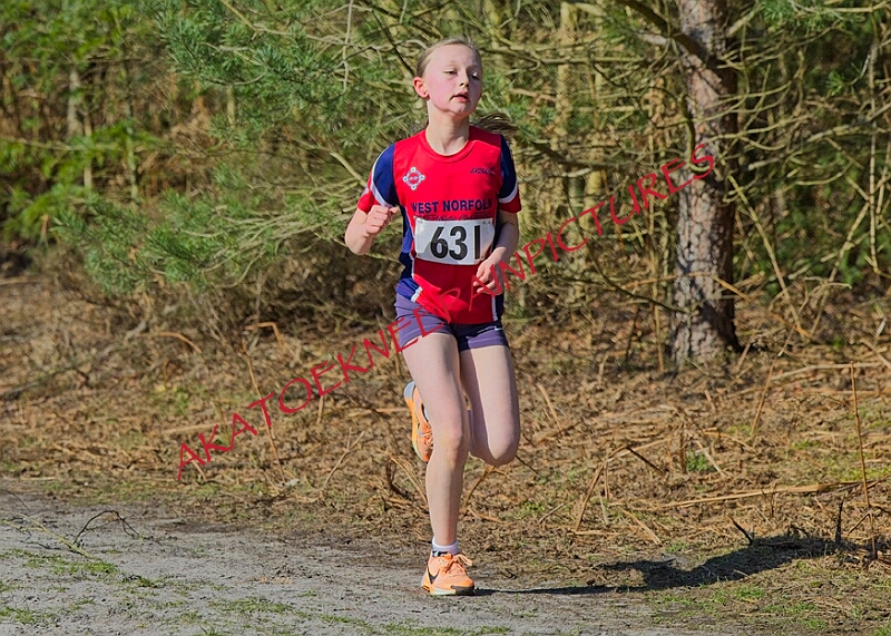 20260315 RRXCMARCHA 00200A.JPG