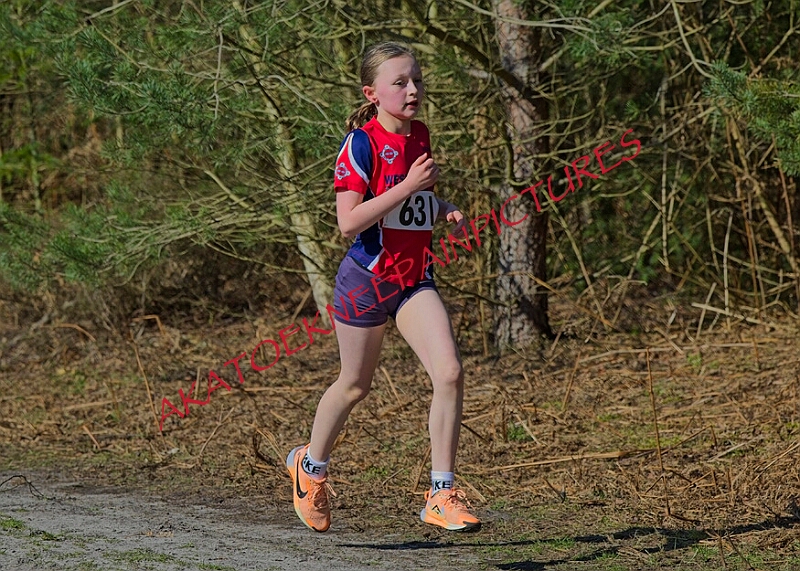 20260315 RRXCMARCHA 00201A.JPG