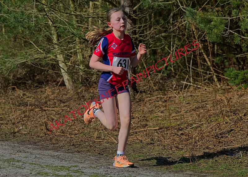 20260315 RRXCMARCHA 00202A.JPG