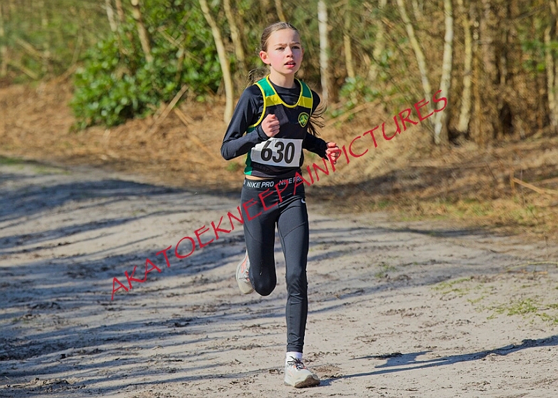 20260315 RRXCMARCHA 00216A.JPG