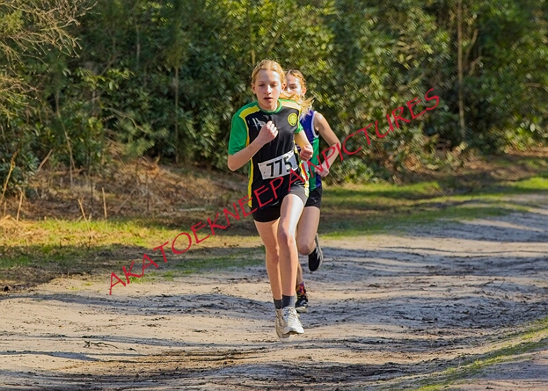 20260315 RRXCMARCHA 00253A.JPG