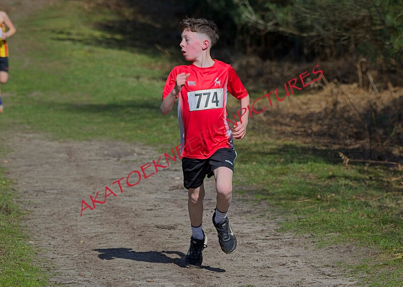 20260315 RRXCMARCHA 00290A.JPG