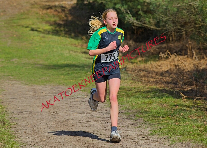 20260315 RRXCMARCHA 00322A.JPG