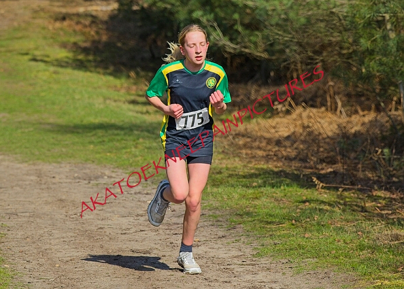 20260315 RRXCMARCHA 00323A.JPG