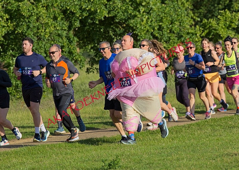 20260612 SANDRINGHAM10K00067A.JPG