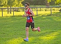 20260612 SANDRINGHAM10K00087A