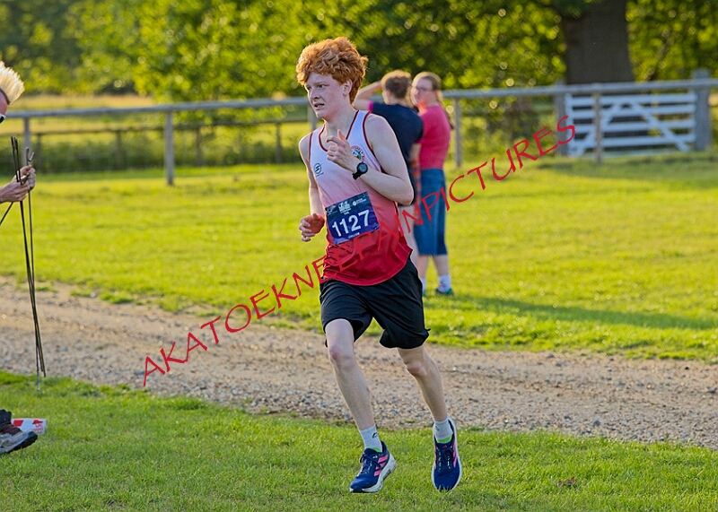 20260612 SANDRINGHAM10K00170A.JPG